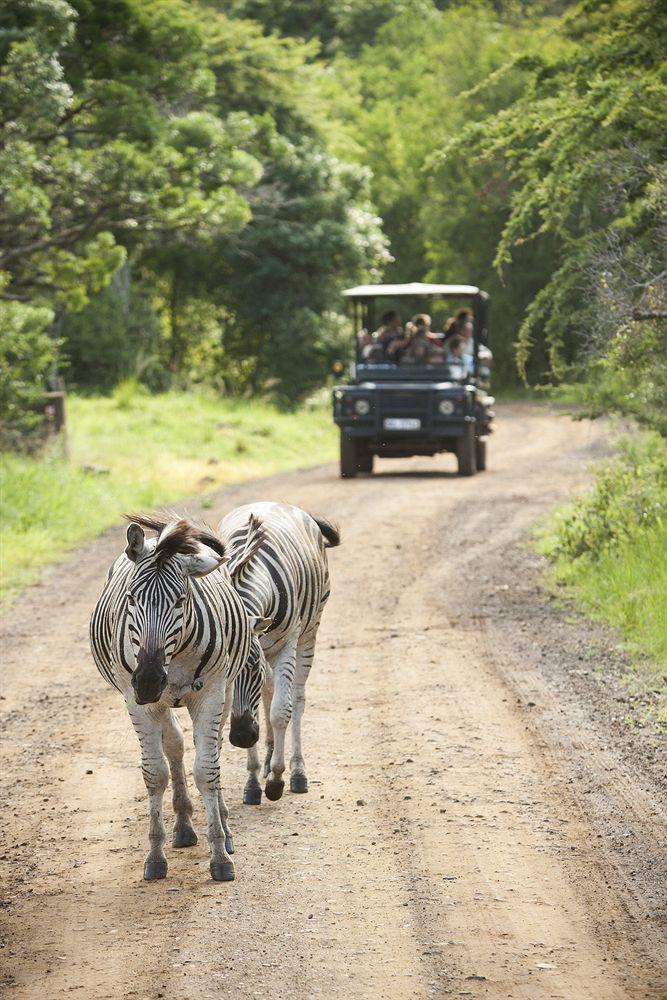 Zululand Safari Lodge Hluhluwe Exterior photo